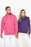 K473 - Sweat-shirt capuche femme - Occifloc