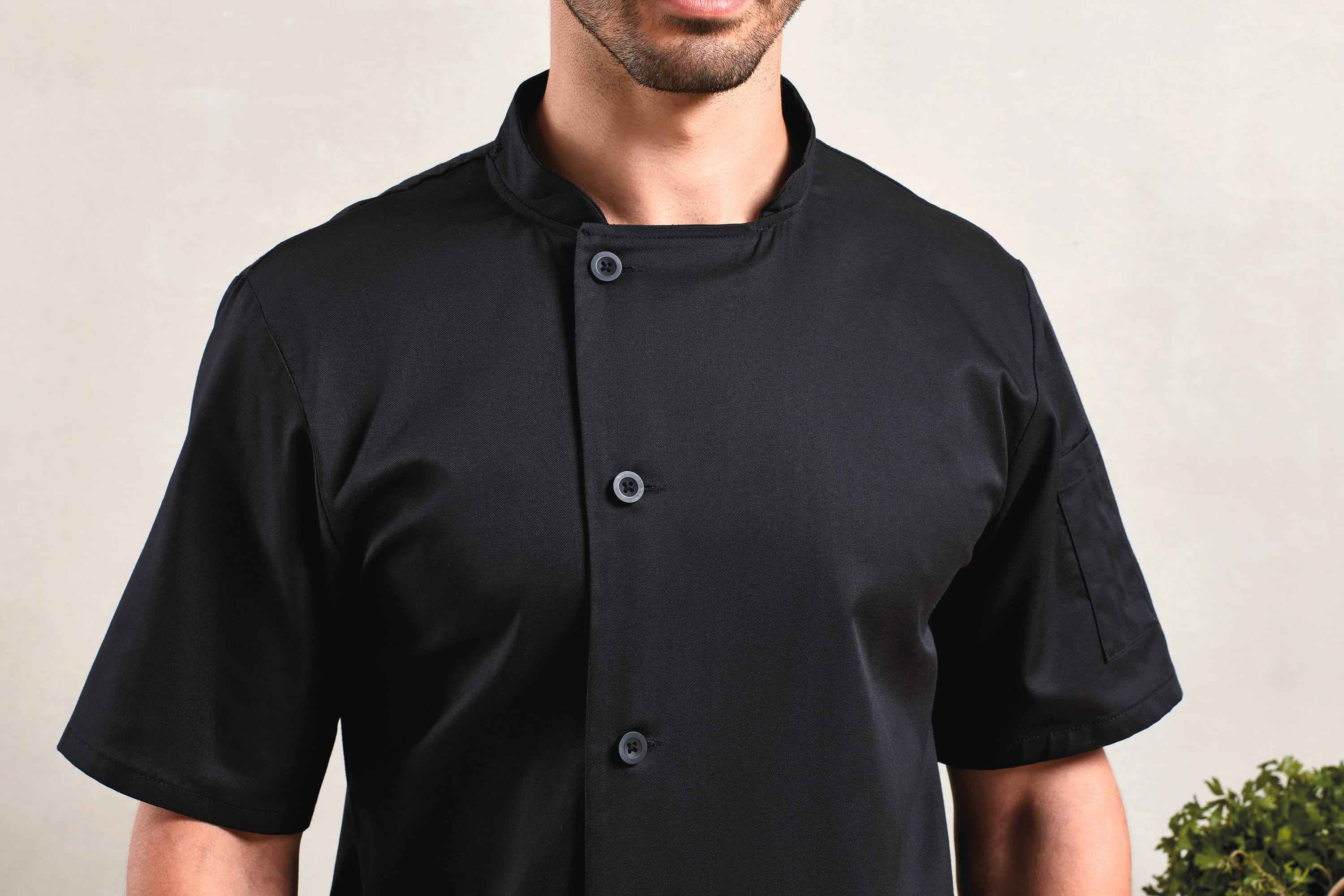 PR900 - Veste chef cuisinier manches courtes 