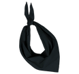 KP064 - Fiesta - Bandana - Occifloc