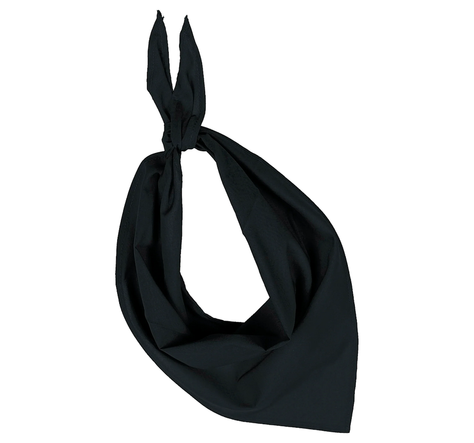 KP064 - Fiesta - Bandana - Occifloc