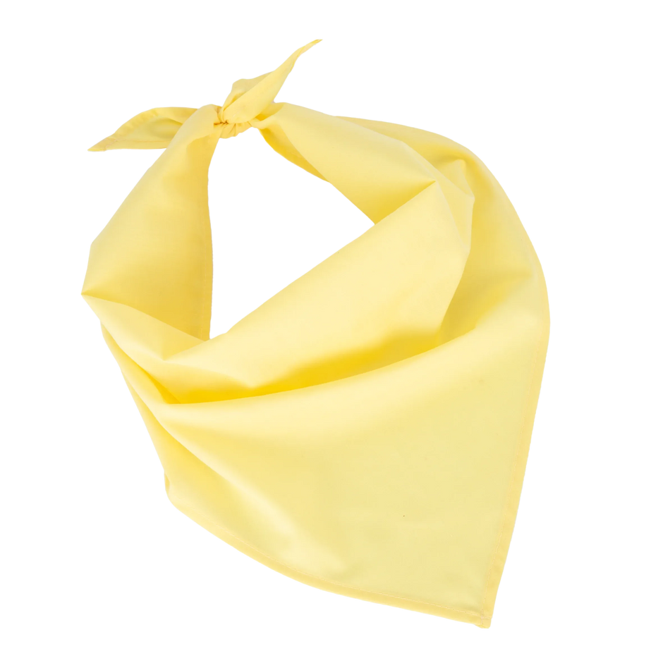 KP064 - Fiesta - Bandana - Occifloc