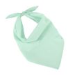 KP064 - Fiesta - Bandana - Occifloc
