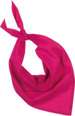 KP064 - Fiesta - Bandana - Occifloc