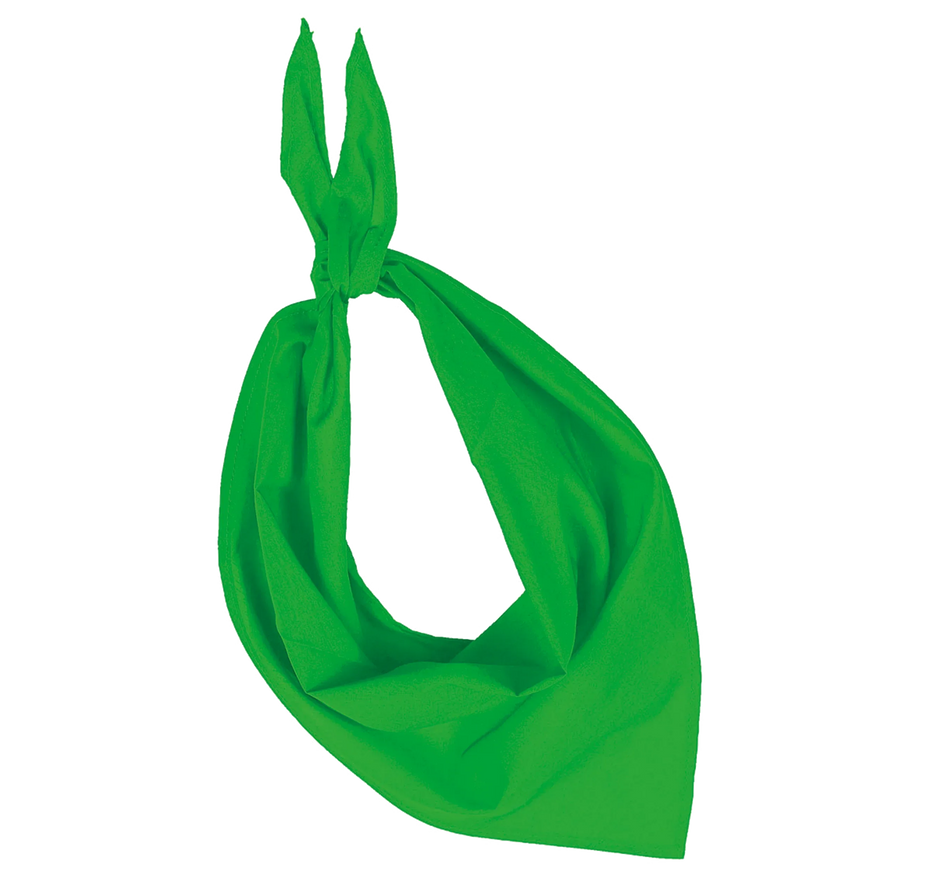 KP064 - Fiesta - Bandana - Occifloc