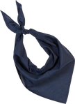 KP064 - Fiesta - Bandana - Occifloc