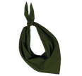 KP064 - Fiesta - Bandana - Occifloc