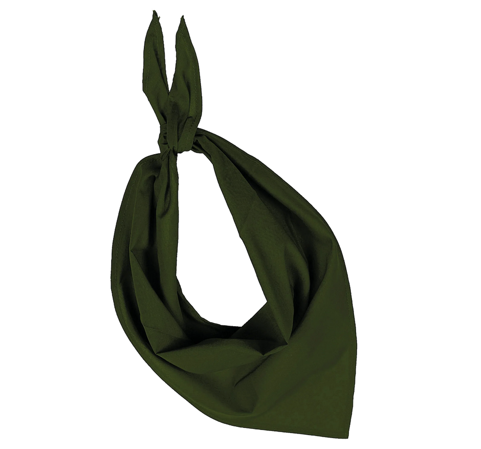 KP064 - Fiesta - Bandana - Occifloc