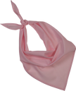 KP064 - Fiesta - Bandana - Occifloc