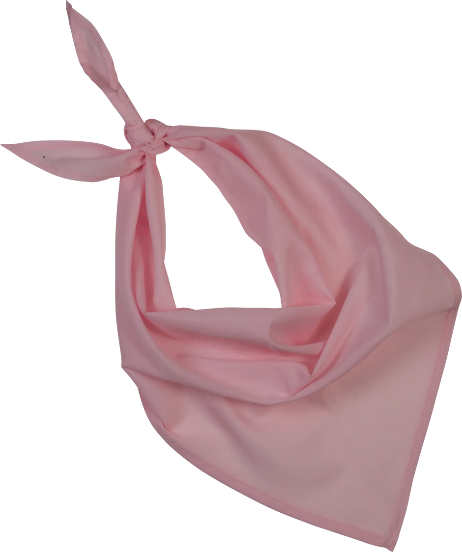 KP064 - Fiesta - Bandana - Occifloc