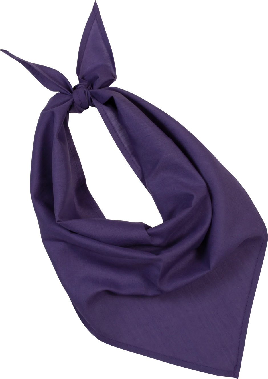 KP064 - Fiesta - Bandana - Occifloc