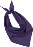 KP064 - Fiesta - Bandana - Occifloc