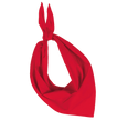KP064 - Fiesta - Bandana - Occifloc