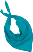 KP064 - Fiesta - Bandana - Occifloc