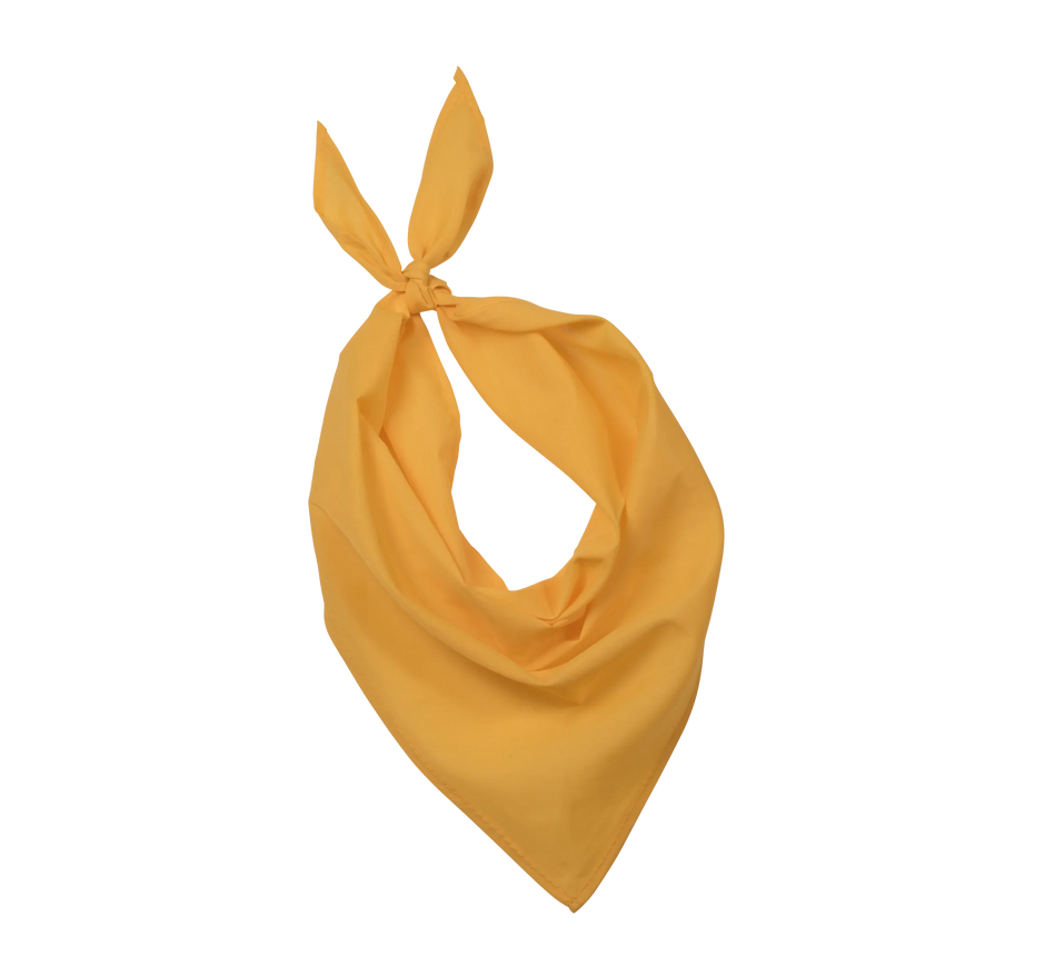 KP064 - Fiesta - Bandana - Occifloc
