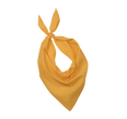 KP064 - Fiesta - Bandana - Occifloc