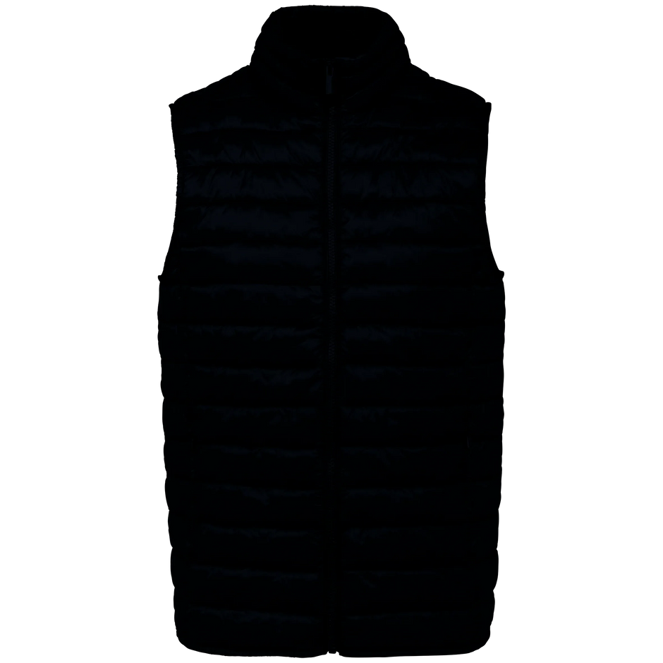 NS6005 - Bodywarmer écoresponsable léger homme Native Spirit