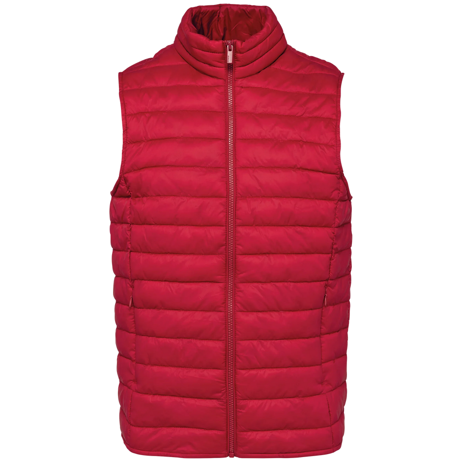 NS6005 - Bodywarmer écoresponsable léger homme Native Spirit