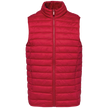 NS6005 - Bodywarmer écoresponsable léger homme Native Spirit