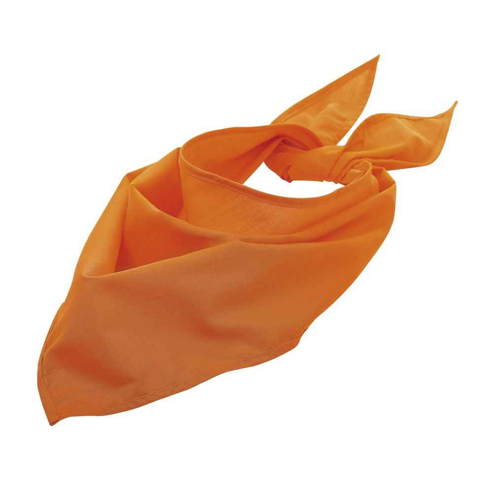 SOL'S BANDANA